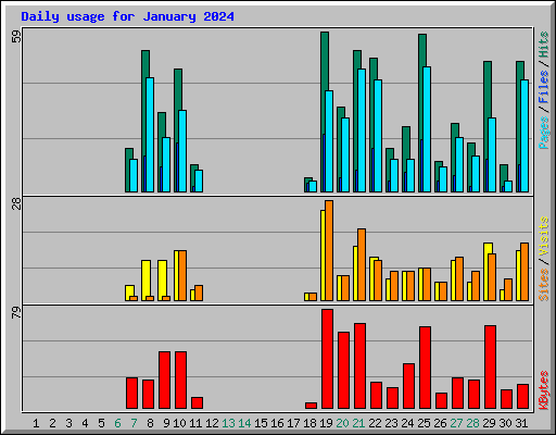 Daily usage for January 2024