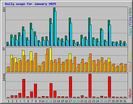 Daily usage for January 2025