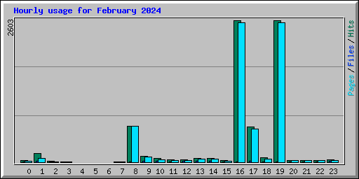 Hourly usage for February 2024