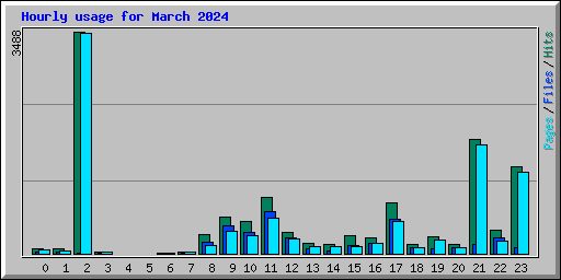 Hourly usage for March 2024