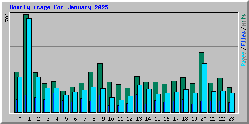 Hourly usage for January 2025