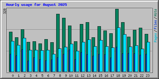 Hourly usage for August 2025