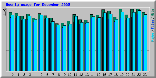 Hourly usage for December 2025