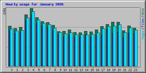 Hourly usage for January 2026