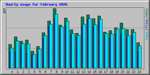 Hourly usage for February 2026